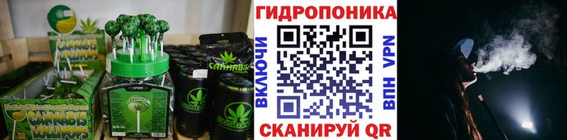 как найти наркотики  Краснослободск  ссылка на мегу маркетплейс  Печенье с ТГК конопля 