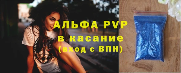 PSILOCYBIN Валуйки