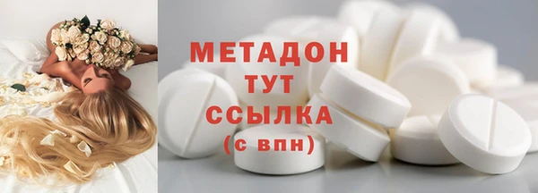 прущие грибы Осташков