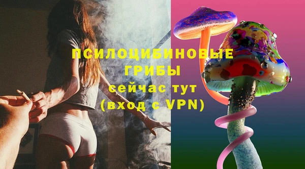 прущие грибы Осташков