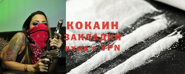 прущие грибы Осташков