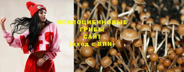 прущие грибы Осташков
