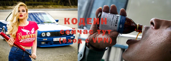 прущие грибы Осташков
