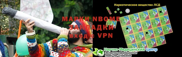 крисы Осинники