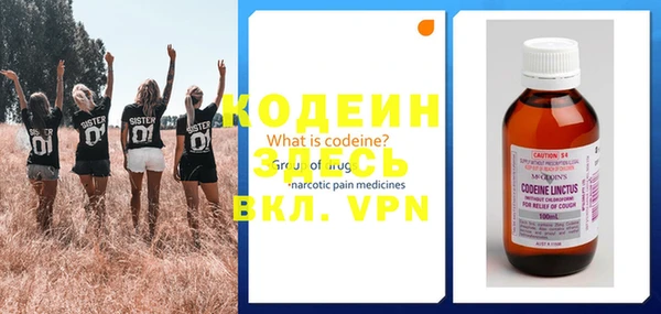 крисы Осинники