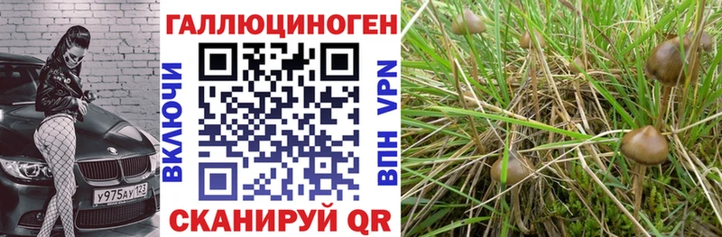 Галлюциногенные грибы мухоморы  продажа наркотиков  Краснослободск 